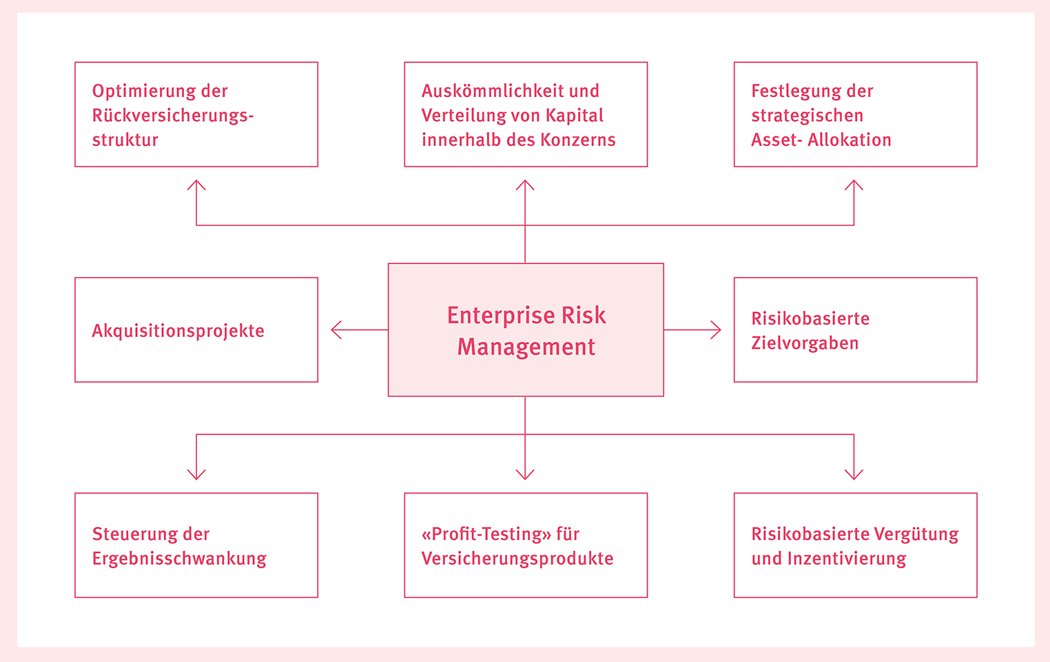 Enterprise Risk Management einer Versicherung Grafik Enterprise Risk Management einer Versicherung